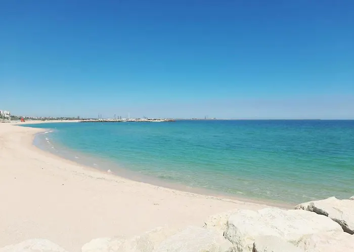 Efo Near The * Eforie Nord