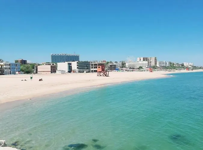 Apartment Efo Near The *